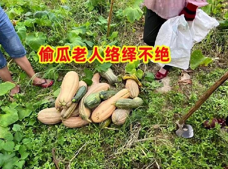 联网报警解决方案