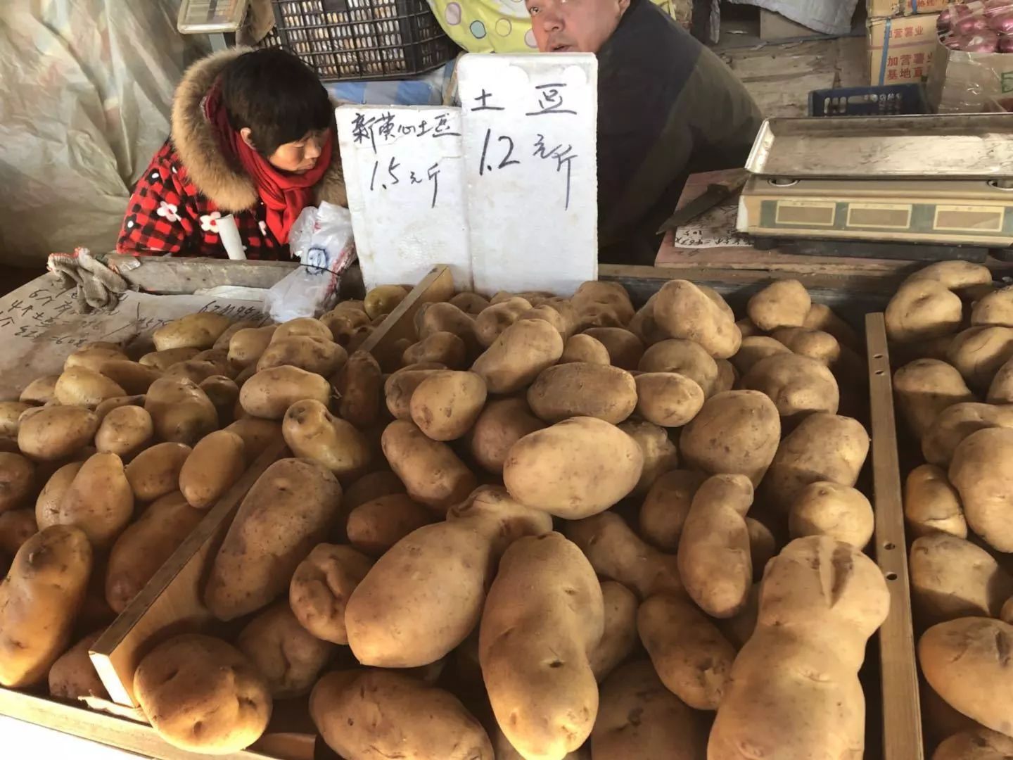 农业土豆生产管理系统 农业土豆生产管理系统