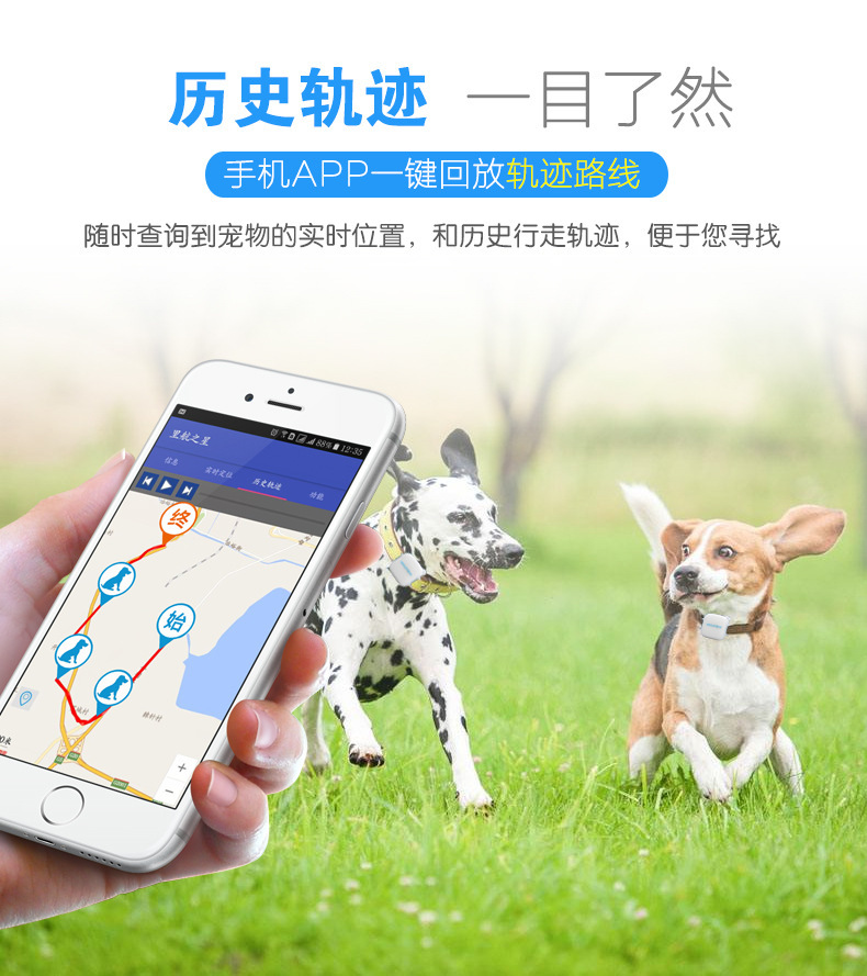 如何防动物走丢 如何防动物走丢