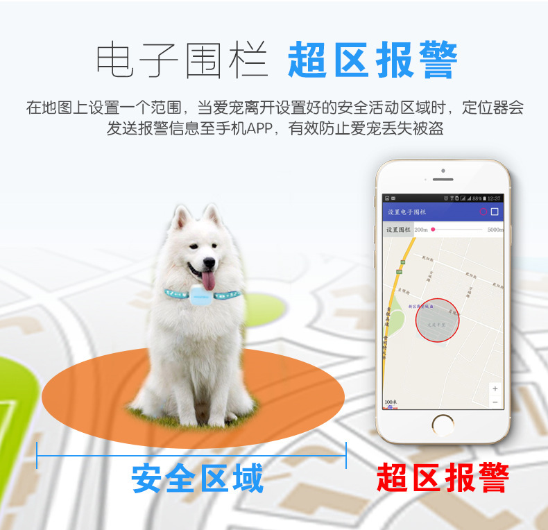 如何防动物走丢 如何防动物走丢