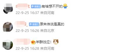 河南辉县近百只羊齐跳崖